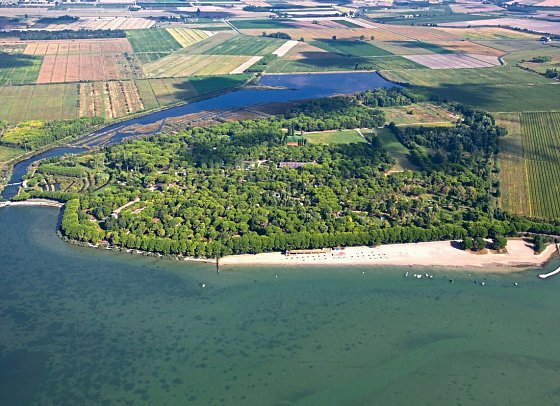 Belvedere Pineta Camping Village