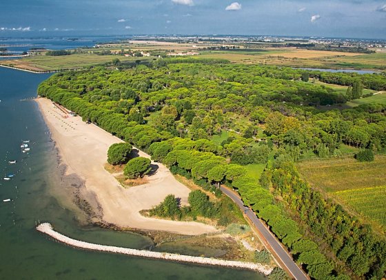 Belvedere Pineta Camping Village