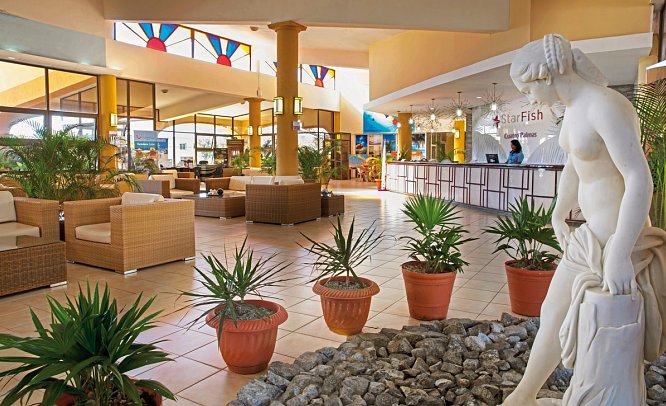 Starfish Cuatro Palmas