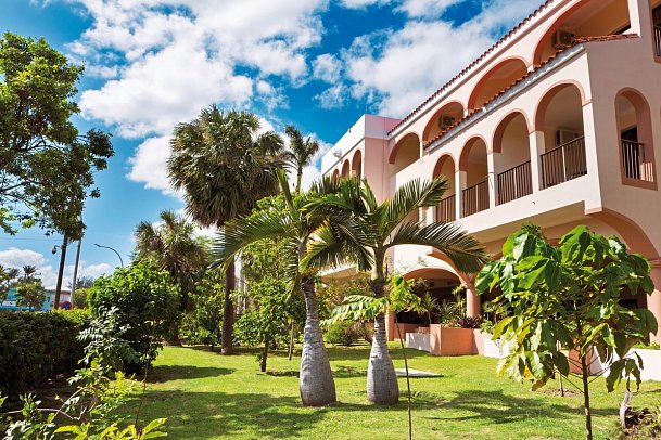 Starfish Cuatro Palmas