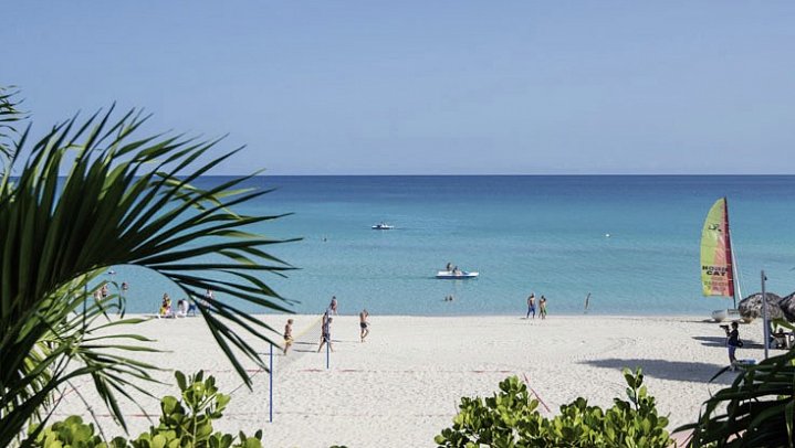 Starfish Cuatro Palmas