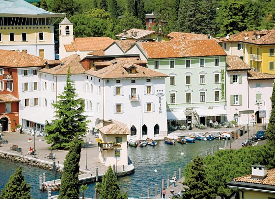 Geier