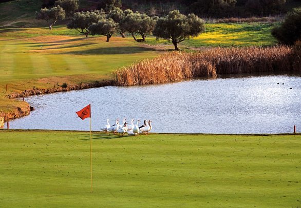 Barceló Montecastillo Golf - Montecastillo