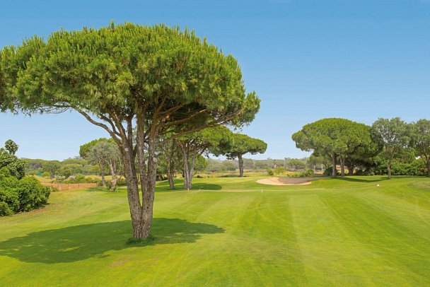 Hipotels Barrosa Palace Wellness & Spa - Iberostar GC Real Novo Sancti Petri