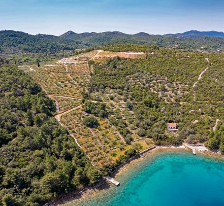 Villa Nai 3.3