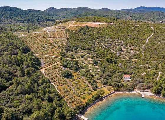 Villa Nai 3.3