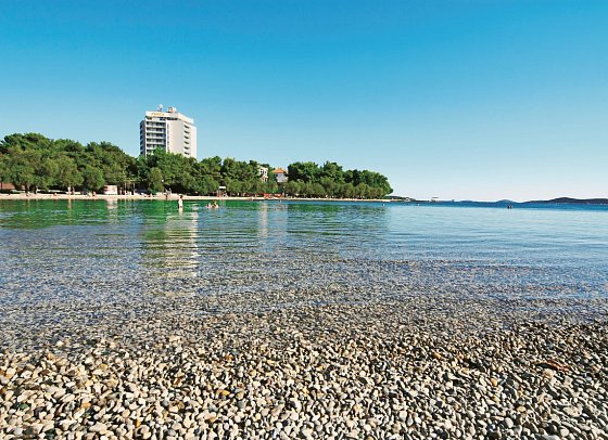 Punta