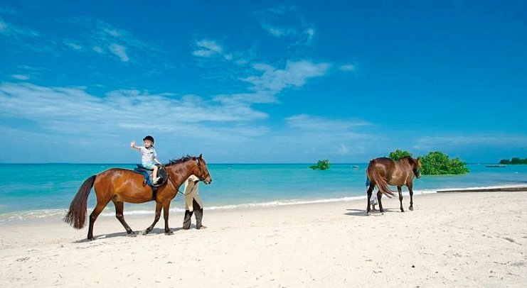 Sea Cliff Resort & Spa