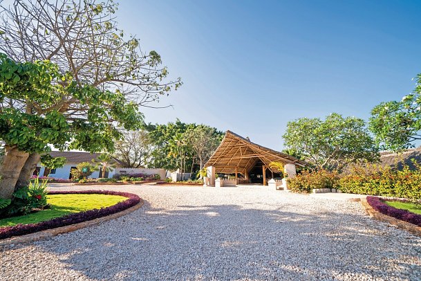 ananea Diamonds Mapenzi