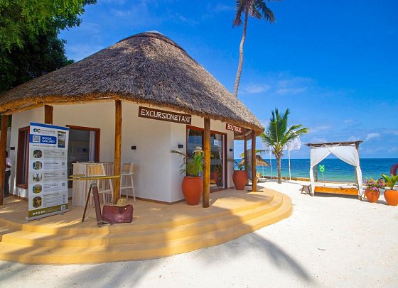 Dream of Zanzibar