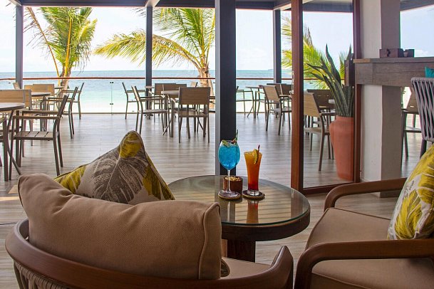 Dream of Zanzibar