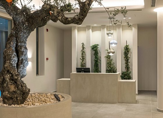 Tsamis Zante Suites