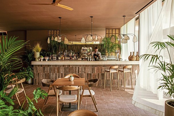 Domes Aulus Zante, Autograph Collection