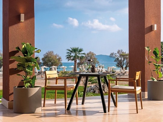 Domes Aulus Zante, Autograph Collection