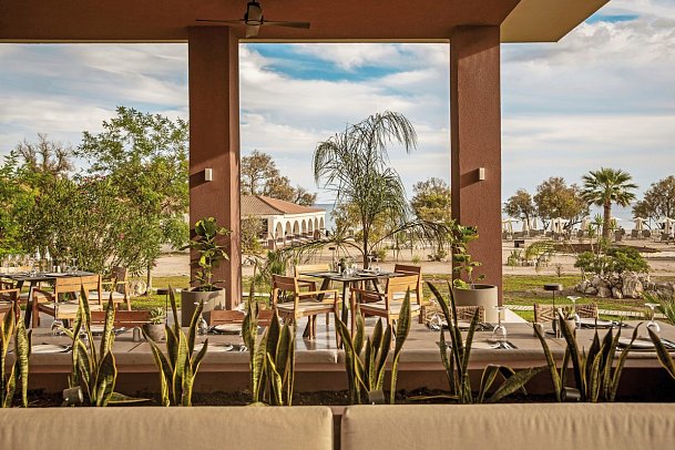 Domes Aulus Zante, Autograph Collection