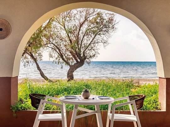 Domes Aulus Zante, Autograph Collection