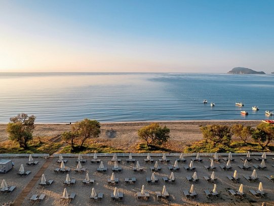 Domes Aulus Zante, Autograph Collection