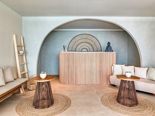 Domes Aulus Zante, Autograph Collection