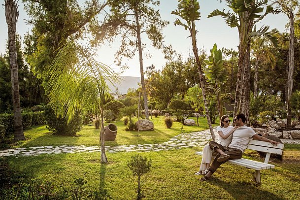 Domes Aulus Zante, Autograph Collection