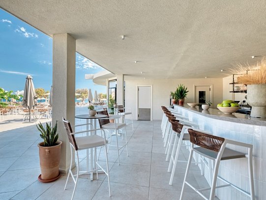 Domes Aulus Zante, Autograph Collection