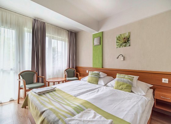 Hotel Panoráma - Wohnbeispiel Doppelzimmer Economy (Zimmercodierung DE2)