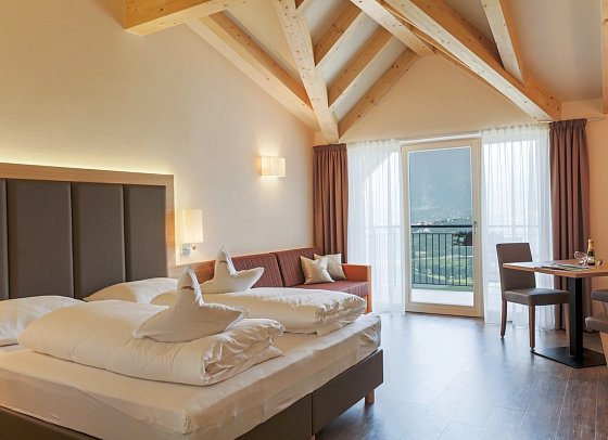 Astor Hotel - Wohnbeispiel Doppelzimmer Panorama (Zimmercodierung D1B)