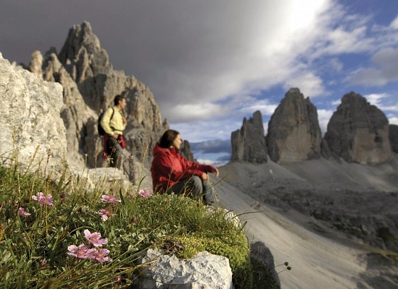 Molaris Lodges