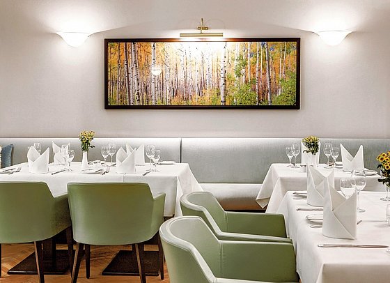 Dorint Parkhotel Meißen