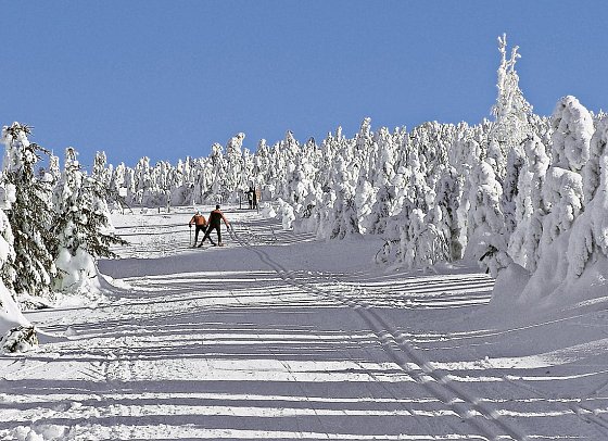Alpina Lodge Hotel Oberwiesenthal