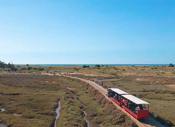 Pedras D'el Rei