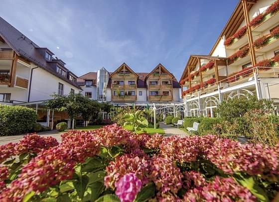 Ringhotel Krone Schnetzenhausen
