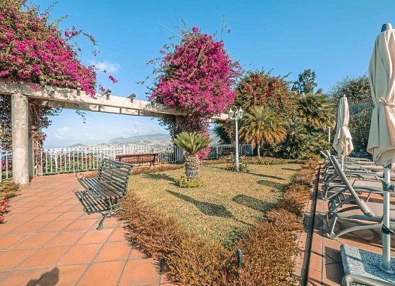 Ocean Gardens