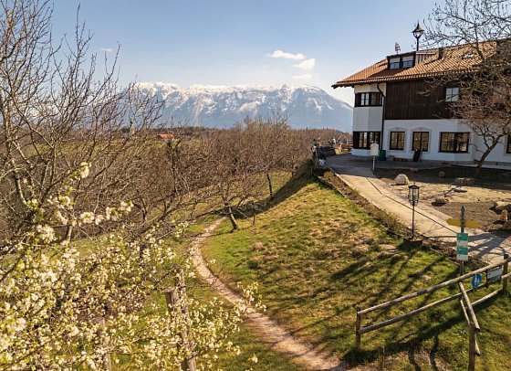 Neubichler Alm