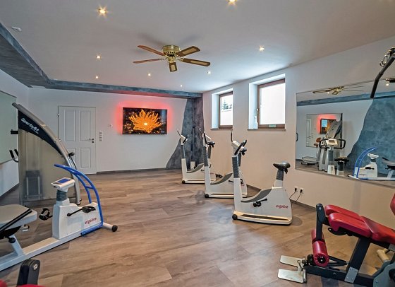 Parkhotel Sonnenhof - Fitnessraum