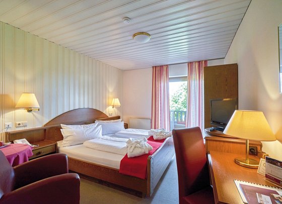 Wagners Hotel Zum Koch - Wohnbeispiel Doppelzimmer Standard (Zimmercodierung DG1)