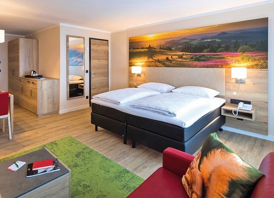 Rhön Park Aktiv Resort - Wohnbeispiel Studio Deluxe (Zimmercodierungen SD1, SD2, SB8, SB9, AB3, AB4, AB5 & AB6)
