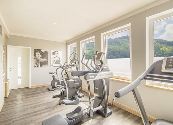 Romantik Jugendstilhotel Bellevue - Fitnessraum