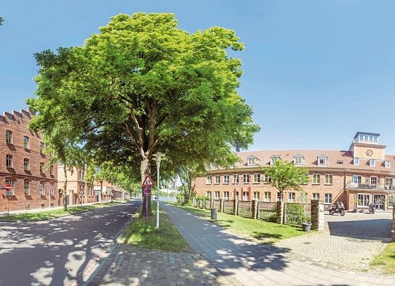 Hafenresidenz Stralsund