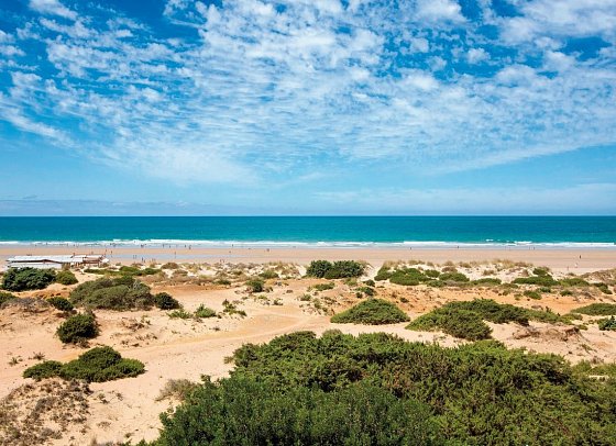 Hipotels Barrosa Palace