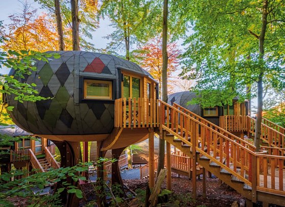 Sonnenresort Ettershaus - Wohnbeispiel Baumhaus Oktagon (Zimmercodierung BB2)
