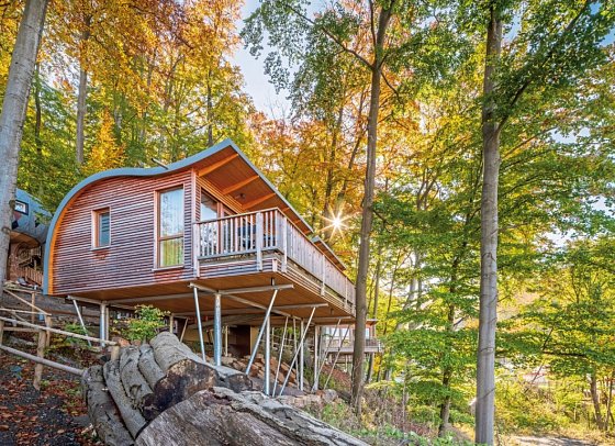 Sonnenresort Ettershaus - Wohnbeispiel Baumhaus Elvis Junior (Zimmercodierung BB1)