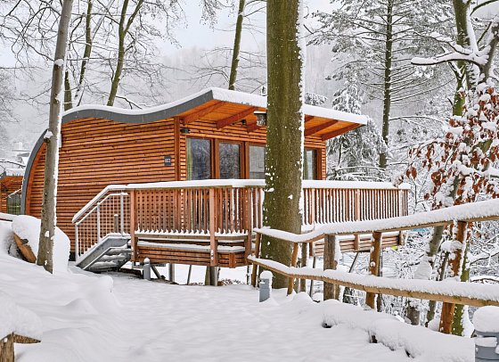 Sonnenresort Ettershaus - Wohnbeispiel Baumhaus Elvis Junior (Zimmercodierung BB1)
