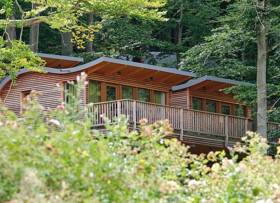 Sonnenresort Ettershaus - Wohnbeispiel Baumhaus Elvis Junior (Zimmercodierung BB1)