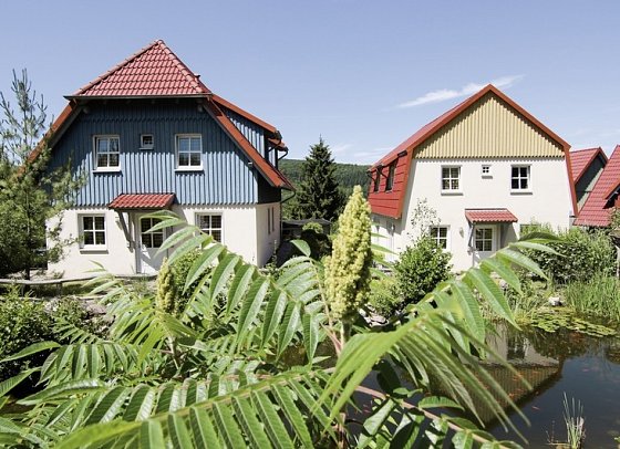 Hasseröder Ferienpark - Hausbeispiel Doppelhaushälfte Typ C (Zimmercodierung OB1)
