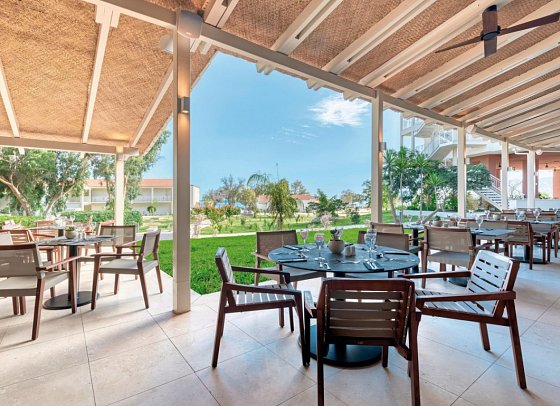 Domes Aulus Zante, Autograph Collection