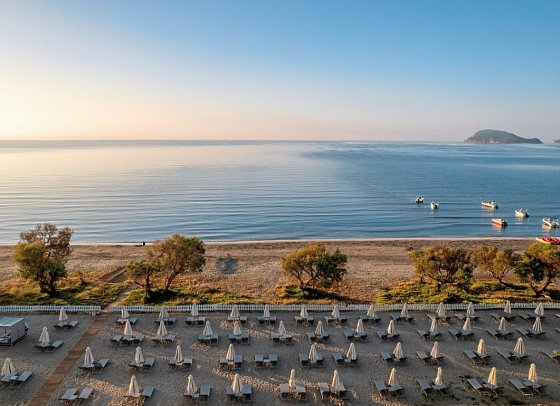 Domes Aulus Zante, Autograph Collection