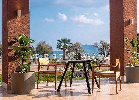 Domes Aulus Zante, Autograph Collection