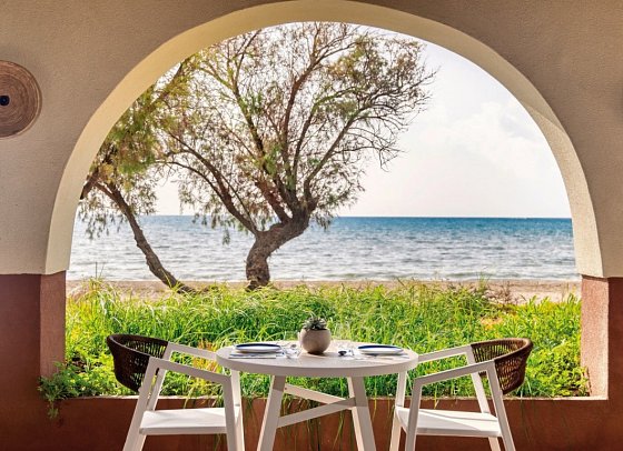 Domes Aulus Zante, Autograph Collection