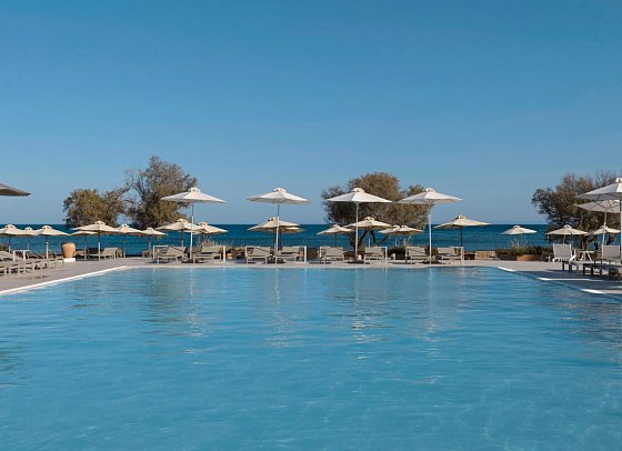 Domes Aulus Zante, Autograph Collection