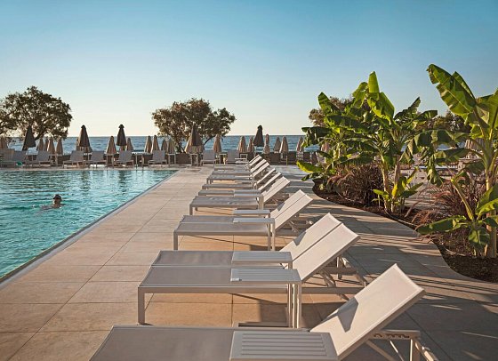 Domes Aulus Zante, Autograph Collection